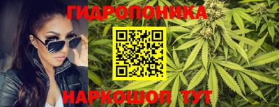 индика Бузулук