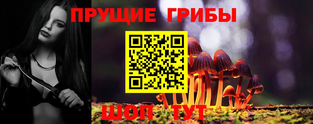 Псилоцибиновые грибы Magic Shrooms  Вход с VPN  купить наркотики сайты  Красноярск 